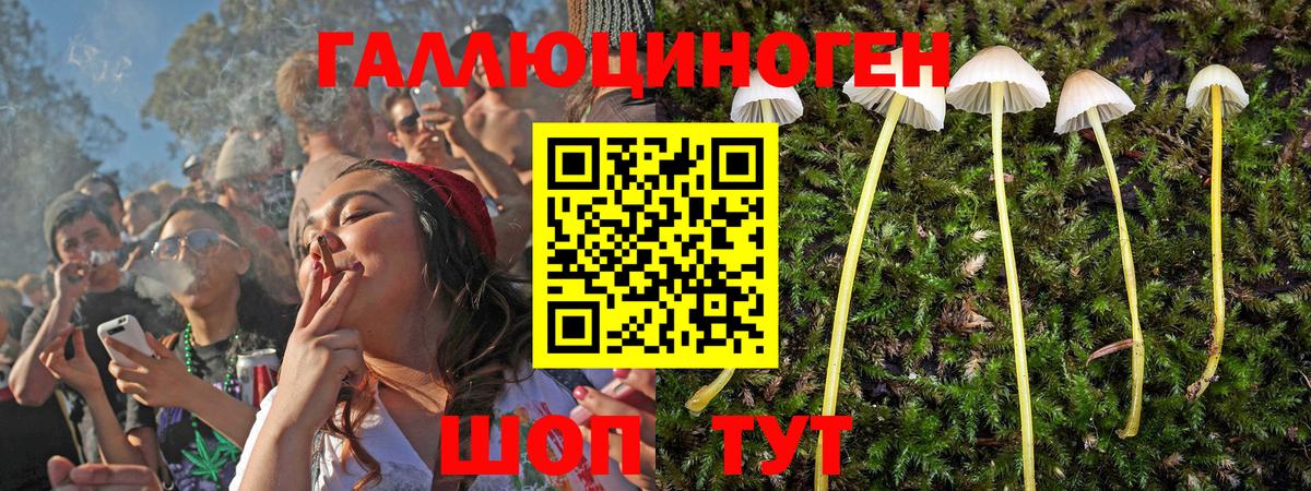 Самара  Псилоцибиновые грибы мухоморы  Вход с VPN  как найти наркотики  Псилоцибиновые грибы прущие грибы 