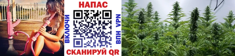 Бошки марихуана LSD WEED  магазин    даркнет телеграм  Самара 